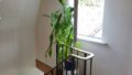 Treppe