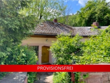 Provisionsfreies Liebhaberobjekt! Ehemalige Fabrikantenvilla in Frankeneck, 67468 Frankeneck, Villa